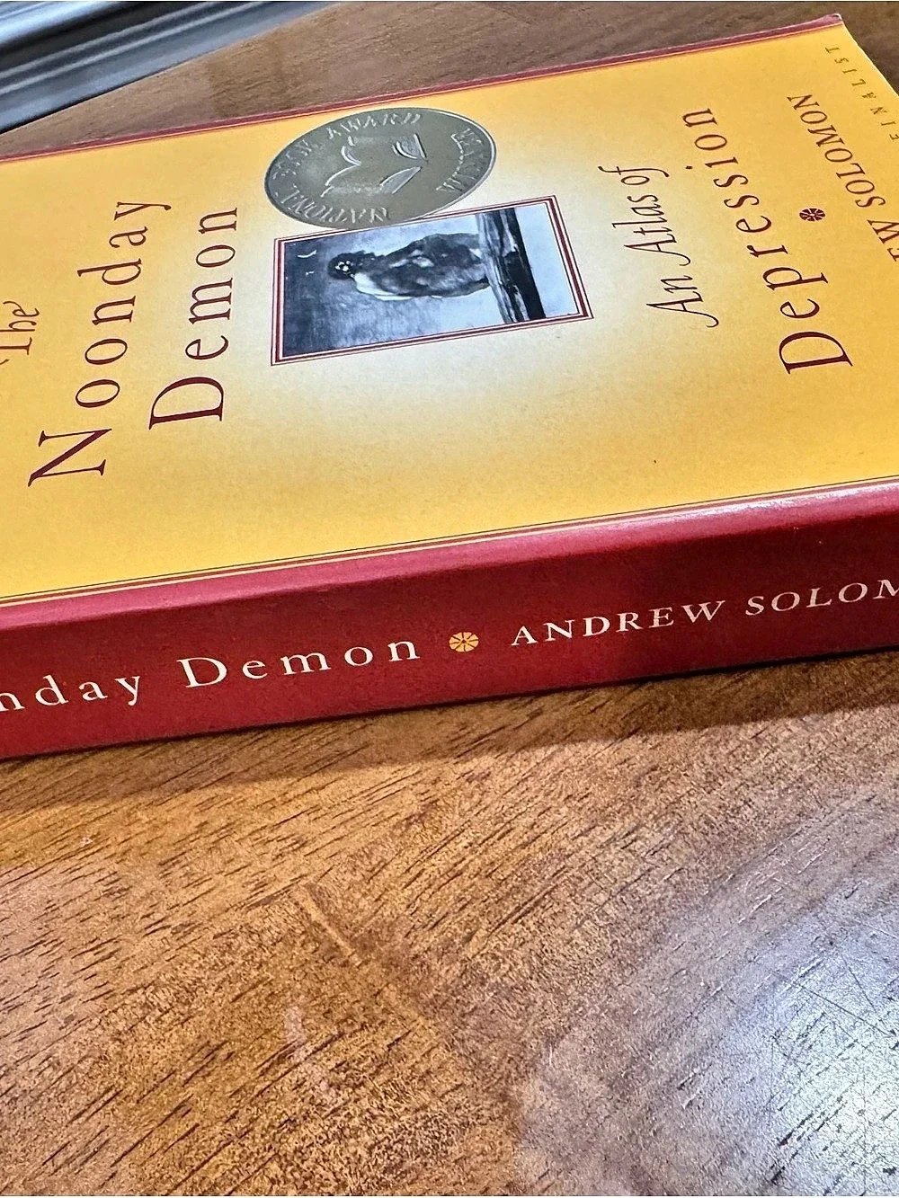 Scribner The Noonday Demon: An Atlas of Depression Hardcover Book Andrew Solomon